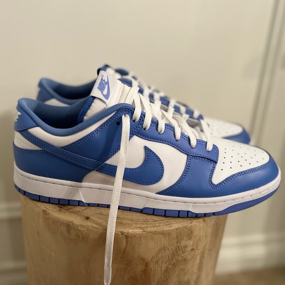Nike Dunk Low Polar Blue Mens 13